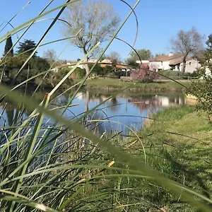 Campagne Camarguaise Les Saintes-Maries-de-la-Mer
